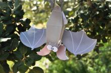 © Ligue pour la Protection des Oiseaux