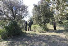 Visite des parcelles à débroussailler en maintenant les arbres 