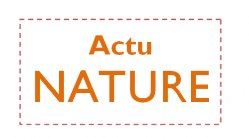 actu-nature.png