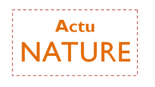 actu-nature.png